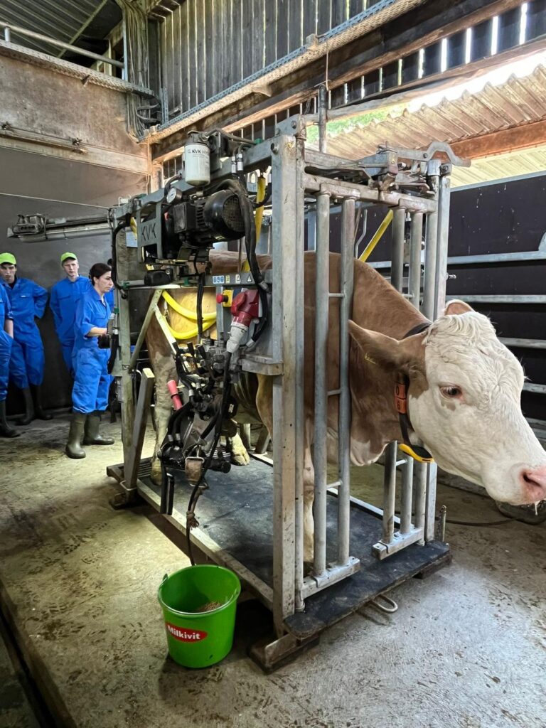 WhatsApp Image 2025-04-08 at 11.50.35 (3)