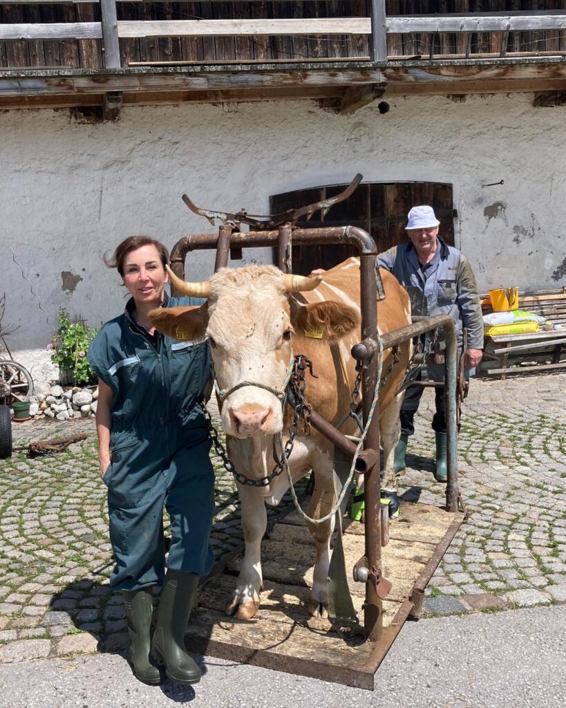 WhatsApp Image 2025-04-08 at 11.50.35